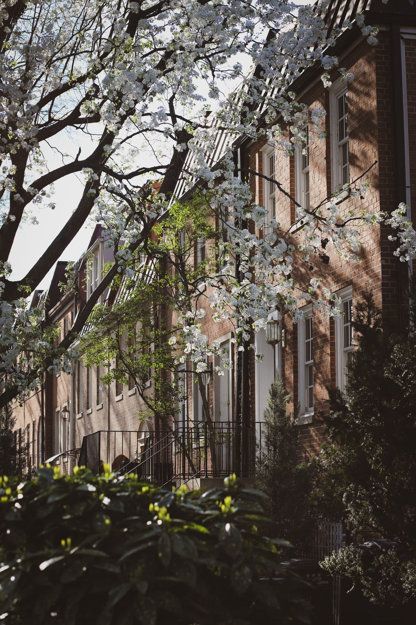Brick home framed by spring blossoms